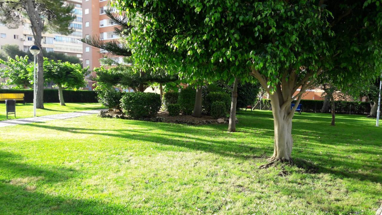 Apartamento Edificio Provima B 5 ベニドルム エクステリア 写真